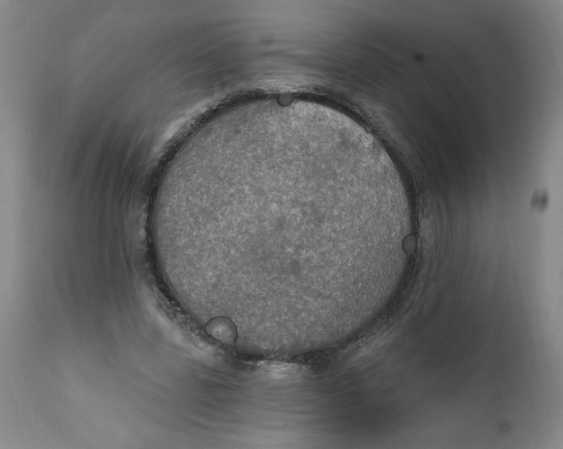 X0000112020539200908241517