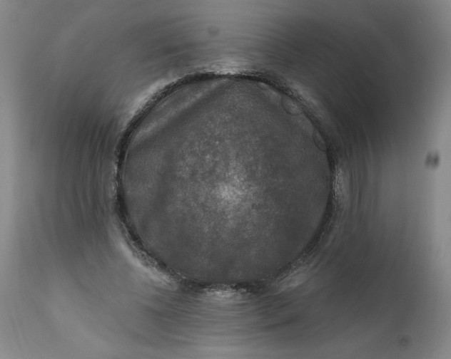 X0000112020540200908241517