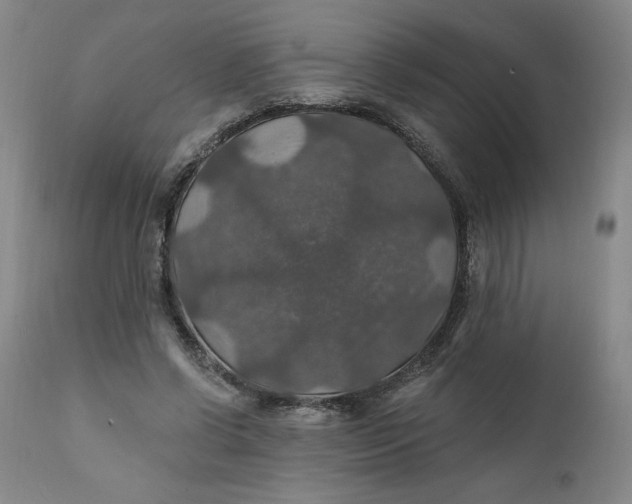 X0000112020542200908241517