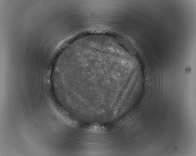 X0000112020543200908241517