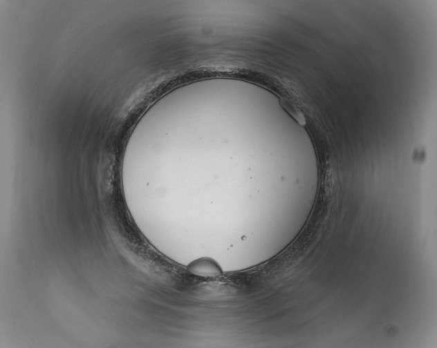 X0000112020544200908241517