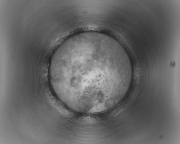 X0000112020545200908241517