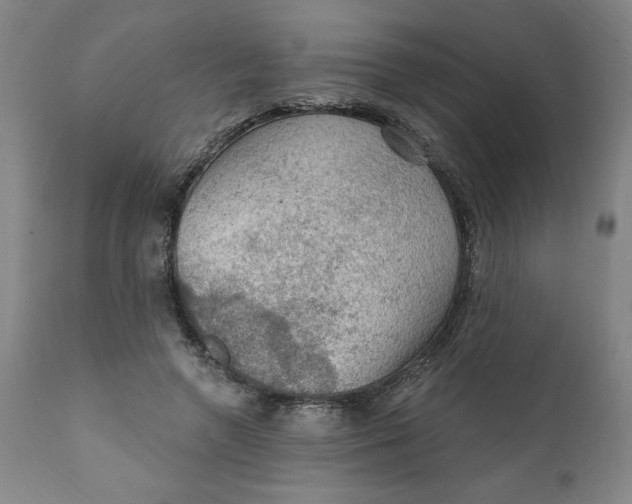 X0000112020546200908241517