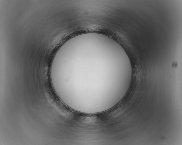 X0000112020548200908241517