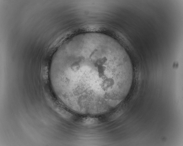 X0000112020549200908241517