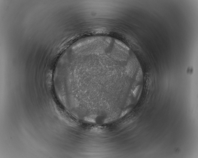 X0000112020550200908241517