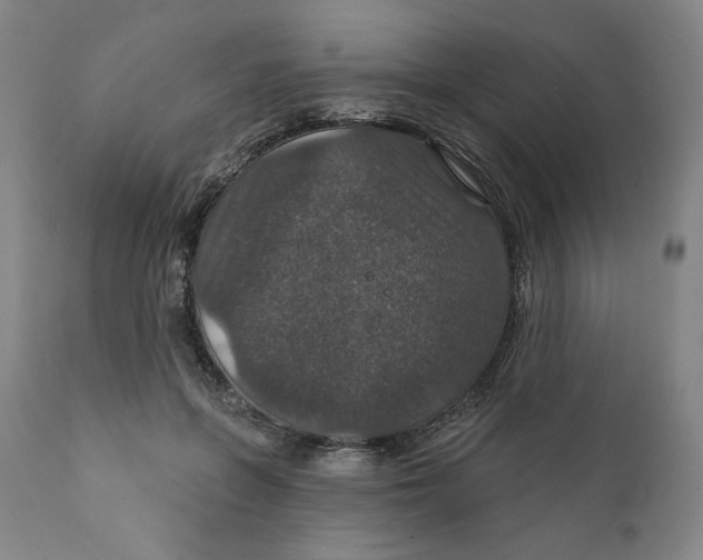 X0000112020551200908241517