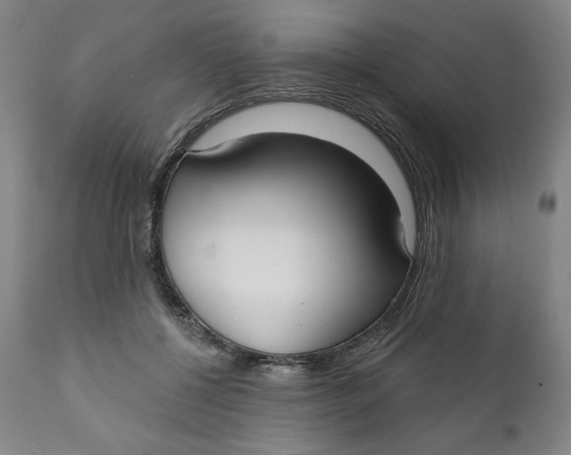 X0000112020552200908241517