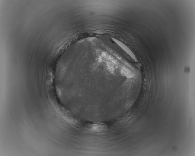 X0000112020555200908241517