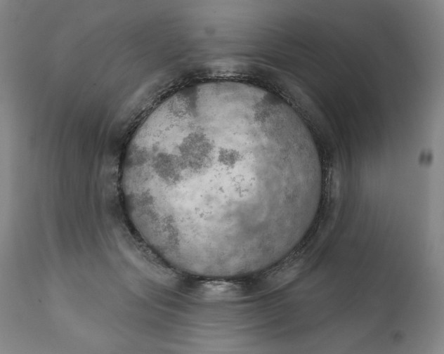 X0000112020557200908241517