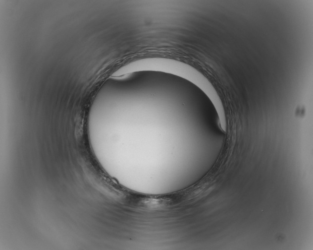 X0000112020558200908241517