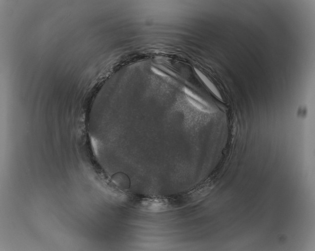 X0000112020559200908241517