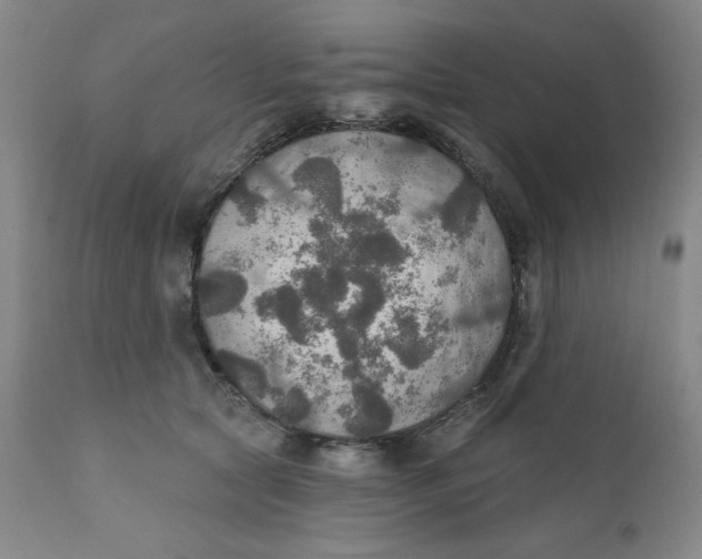 X0000112020561200908241517