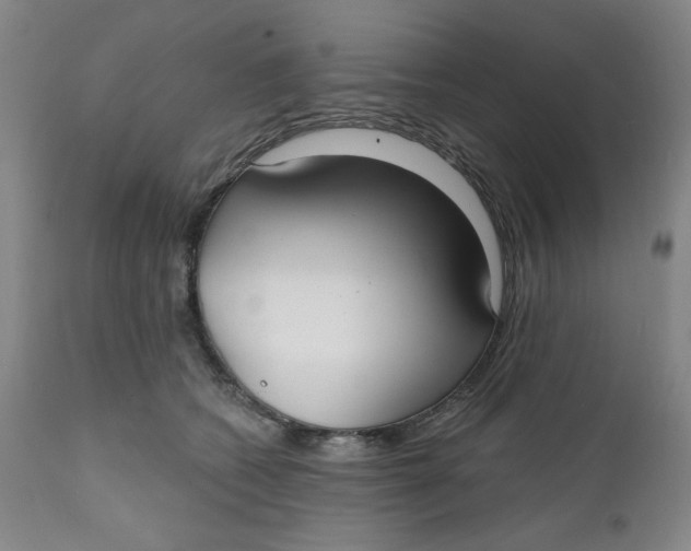 X0000112020562200908241517