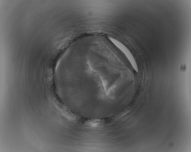 X0000112020563200908241517