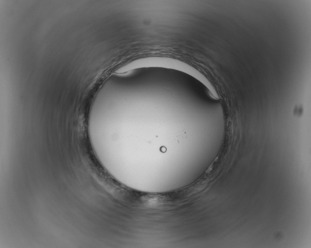 X0000112020564200908241517