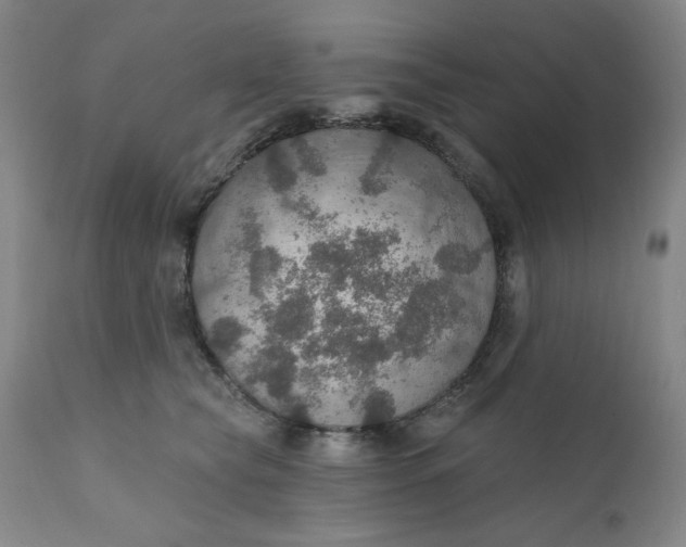 X0000112020565200908241517