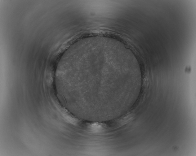 X0000112020566200908241517