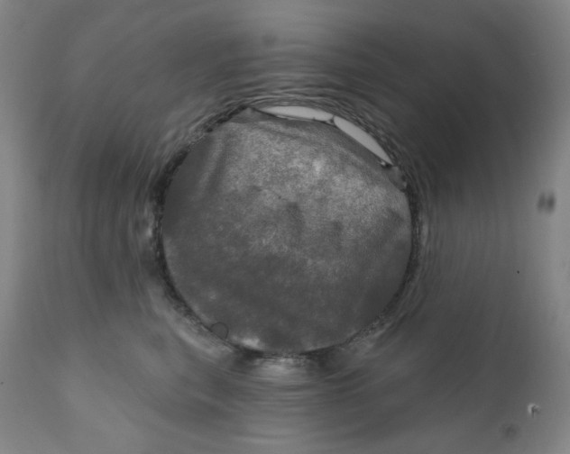 X0000112020567200908241517