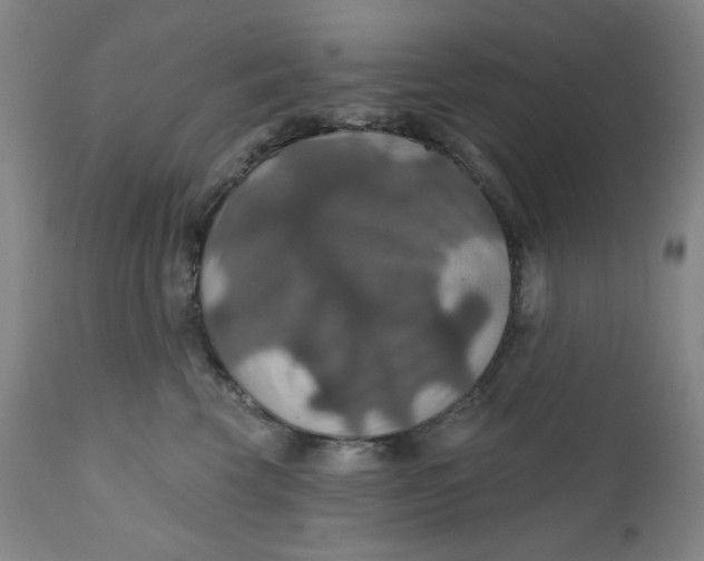 X0000112020569200908241517