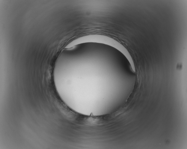 X0000112020570200908241517