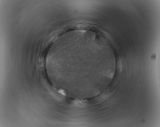 X0000112020571200908241517