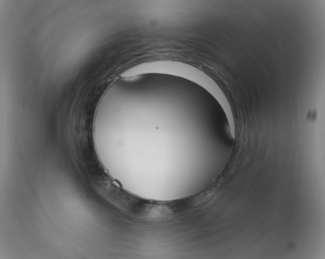 X0000112020572200908241517