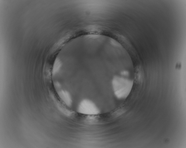 X0000112020573200908241517