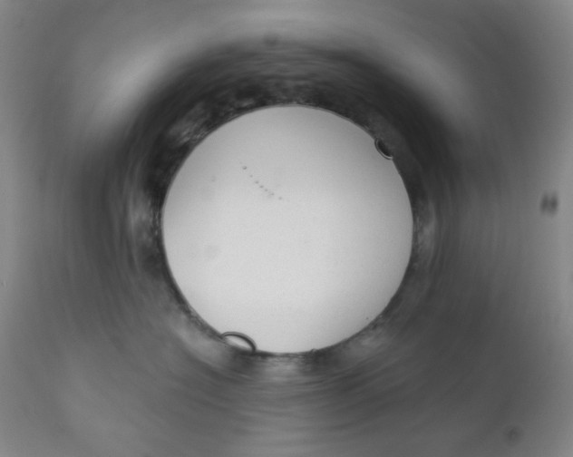 X0000112020574200908241517