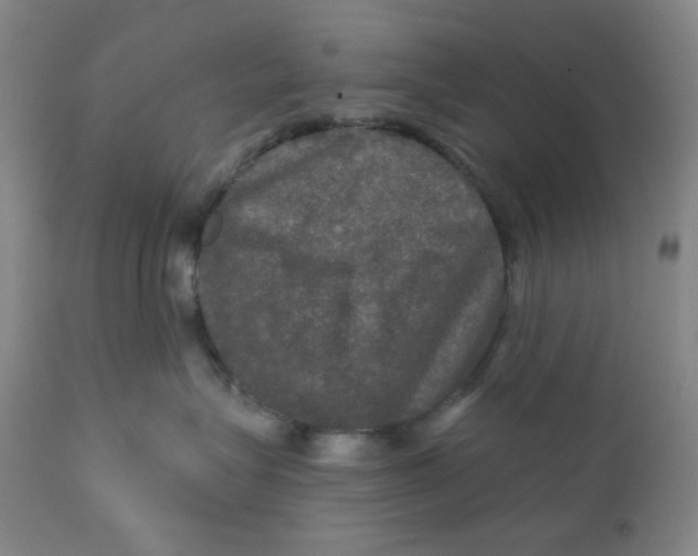 X0000112020575200908241517