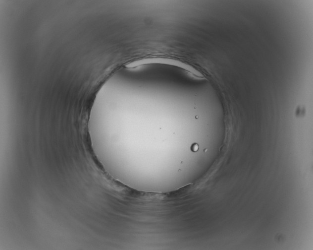 X0000112020576200908241517