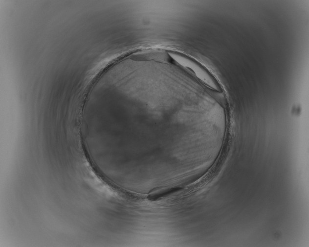 X0000112020577200908241517