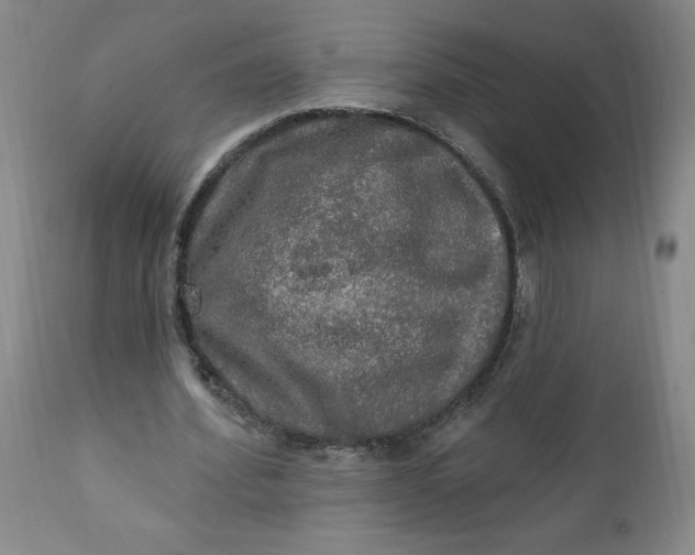 X0000112020580200908241517