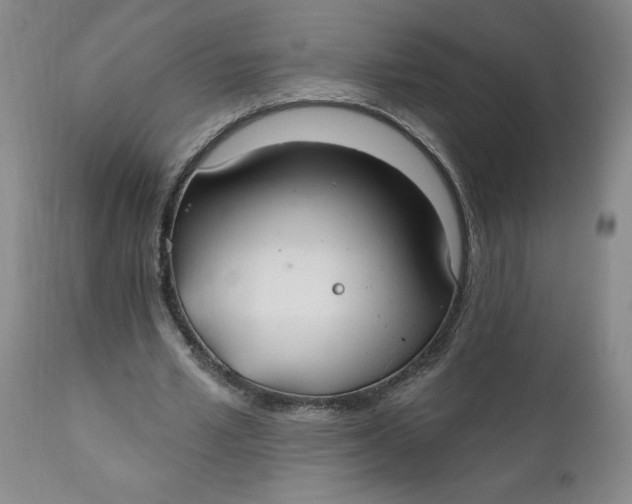 X0000112020581200908241517