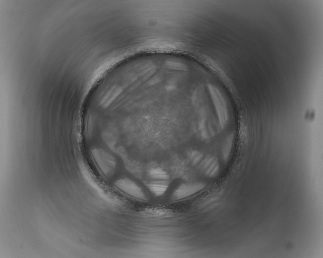 X0000112020582200908241517