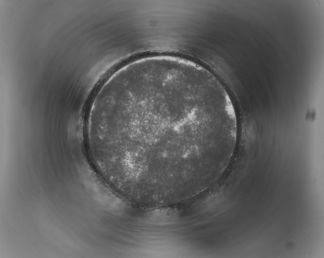 X0000112020584200908241517