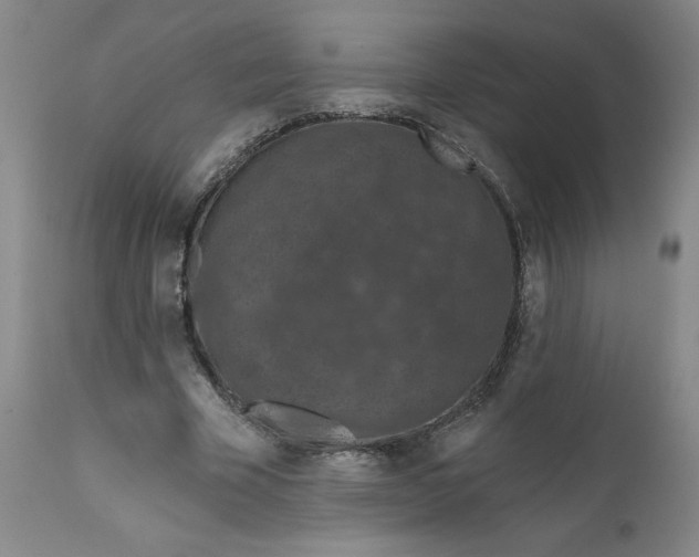 X0000112020585200908241517