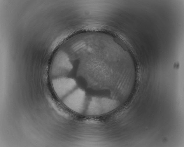 X0000112020586200908241516