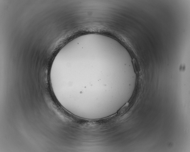 X0000112020589200908241516