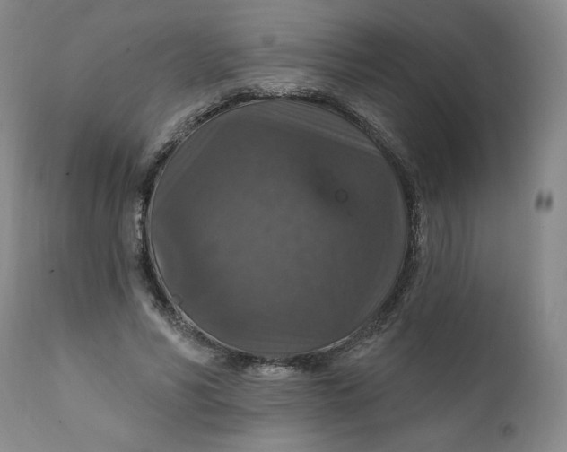 X0000112020590200908241516