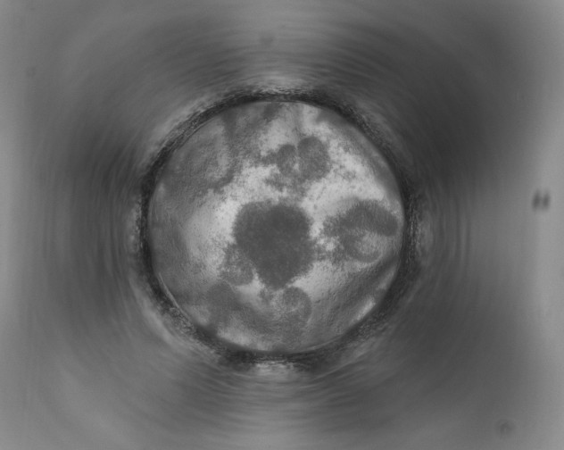 X0000112020591200908241516