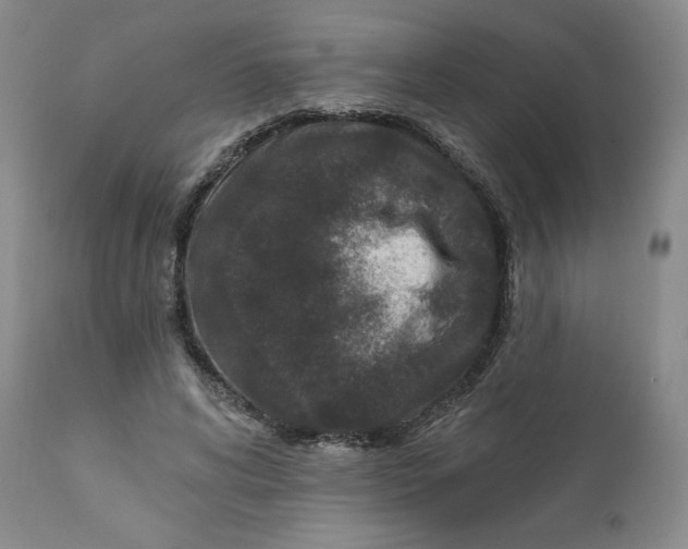 X0000112020592200908241516