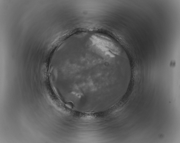 X0000112020594200908241516