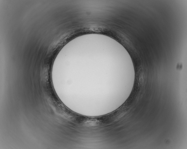 X0000112020595200908241516