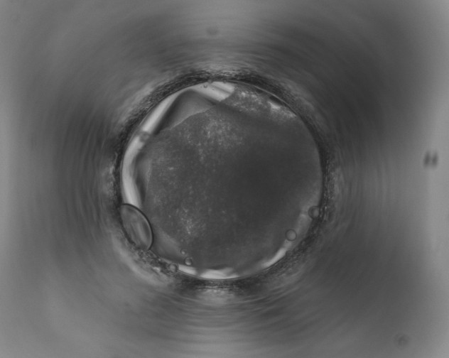 X0000112020596200908241516