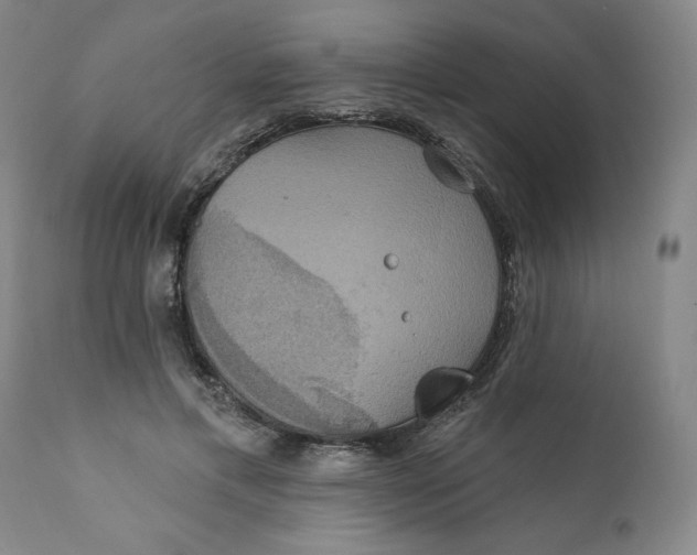 X0000112020597200908241516