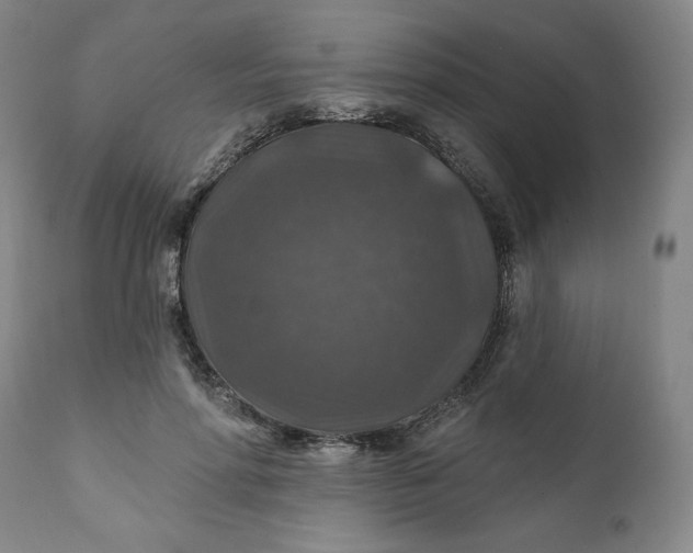 X0000112020598200908241516