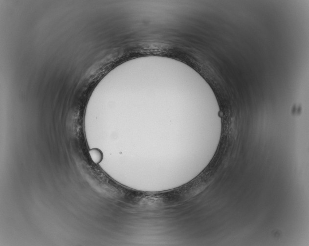 X0000112020599200908241516