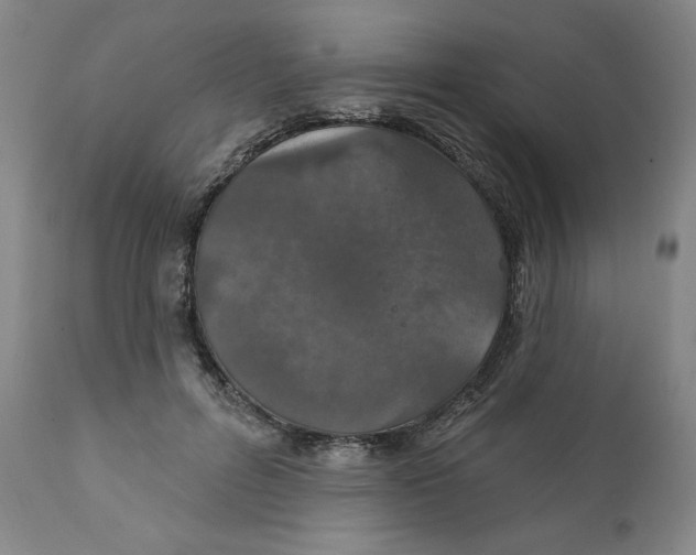 X0000112020600200908241516