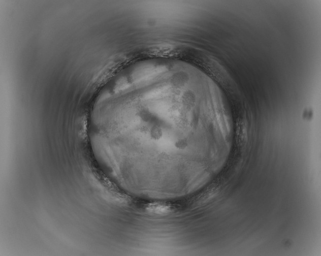 X0000112020602200908241516